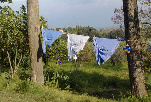 The clothesline at the Torricella.