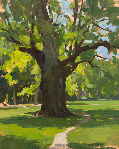 Plein air landscape painting of the old oak tree in Maksimir park, Zagreb.