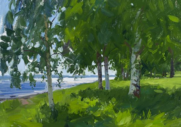 Plein air landscape painting of Birch Trees on the Banks of Lake Siljan, Sweden.
