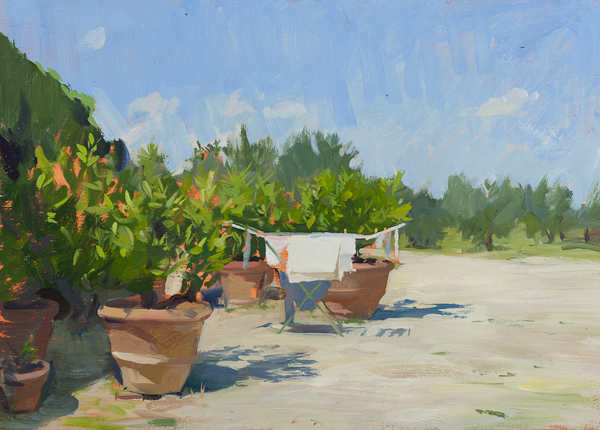 Plein air sketch of laundry and lemon trees, Tuscany.