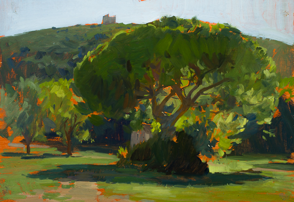 Plein air painting of a stone pine tree in cala di forno, maremma.