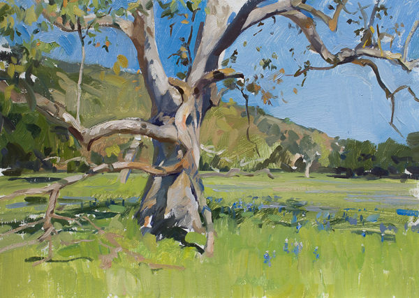 Plein air painting of sycamore and lupine in Toro State Park, Salinas.