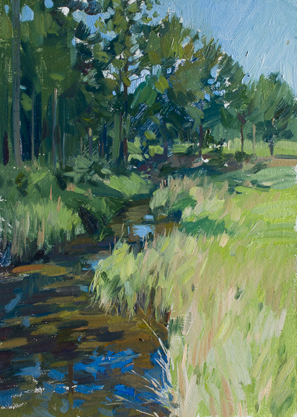 Plein air painting of a creek off of the Toogoodoo.