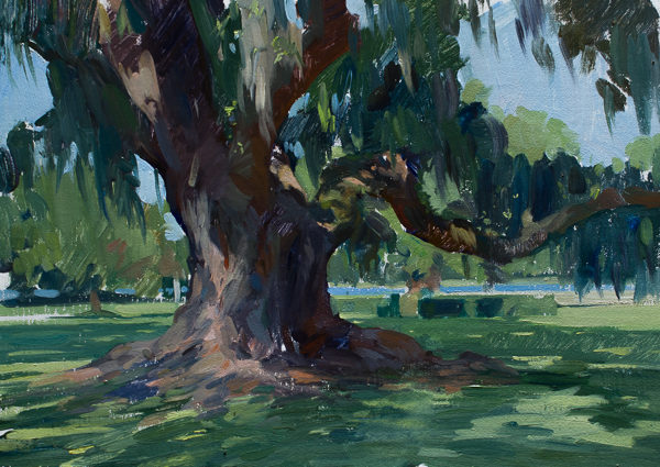 Plein air painting of a large oak tree.