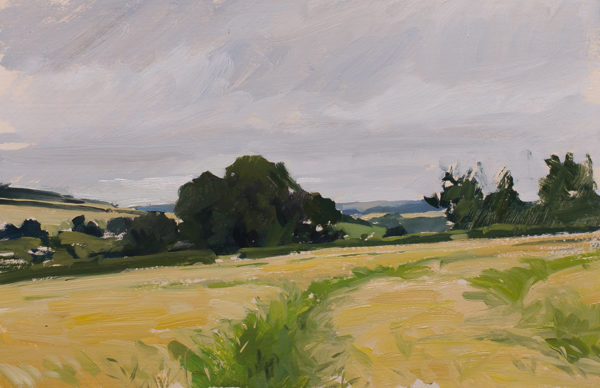 plein air painting of barley fields above Tisbury in Wiltshire.