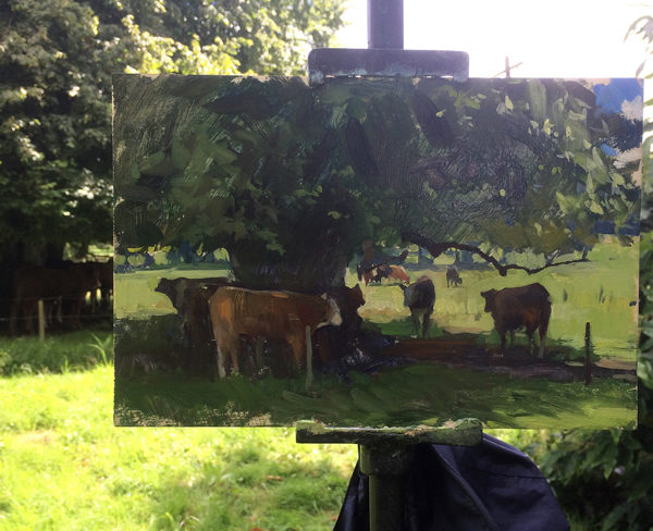 Plein air painting of Irish cows.