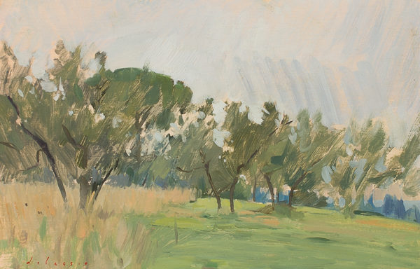 Plein air painting of an olive grove in Tuscany.