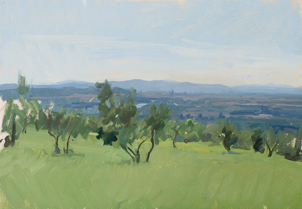 Plein air painting of olive trees above Florence.