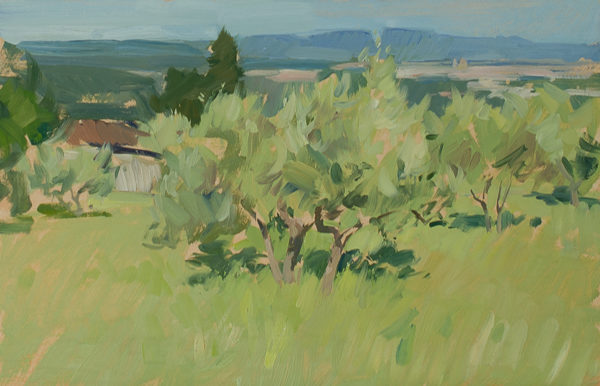 Plein air painting of olive trees in the midmorning light.