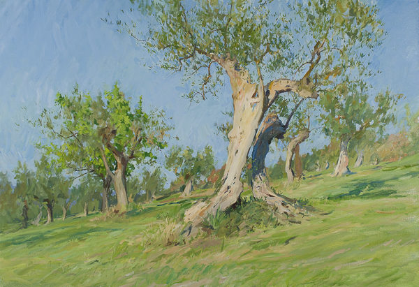 Oil painting of an old olive tree in Tuscany.