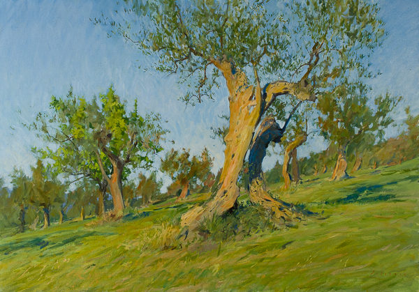Large plein air landscape painting of an olive tree in Tuscany.