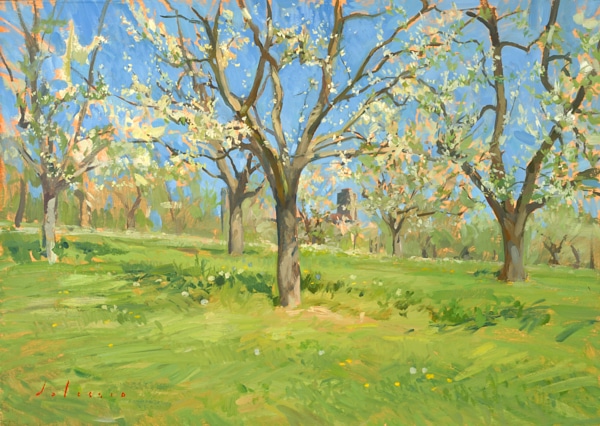 Oil painting of plum trees in bloom near La Romieu.
